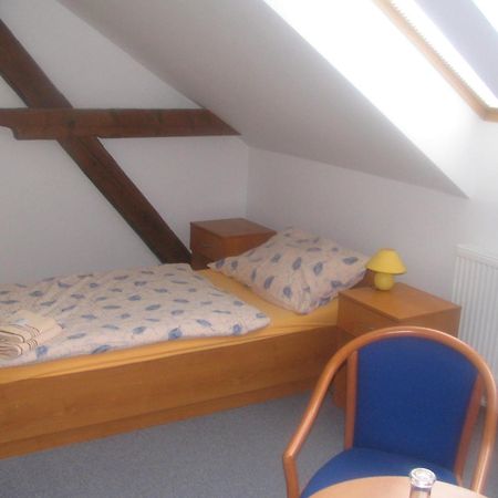Pension Smetanuv Statek Hradec Kralove Exterior photo