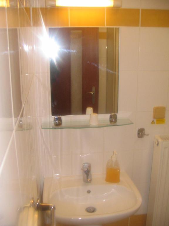 Pension Smetanuv Statek Hradec Kralove Room photo